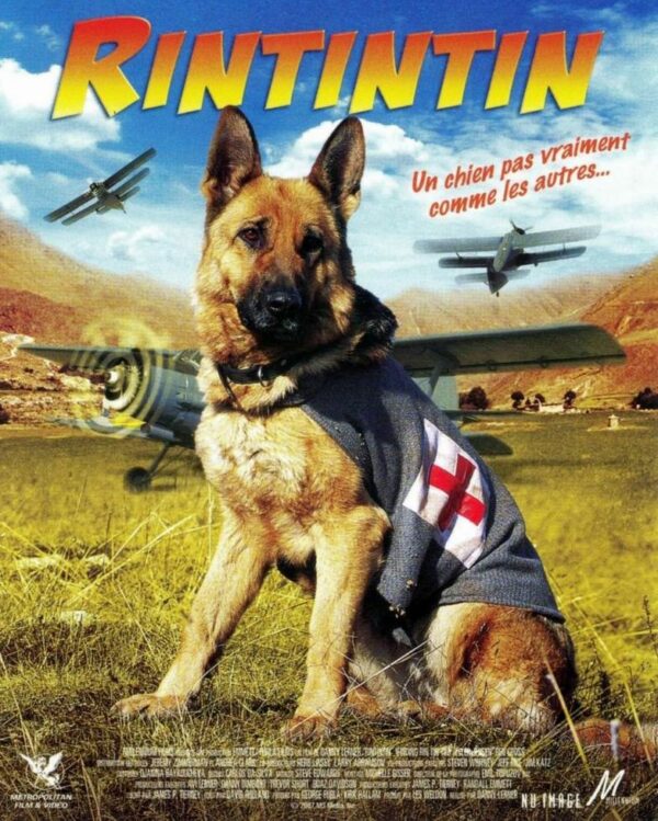 Rintintin