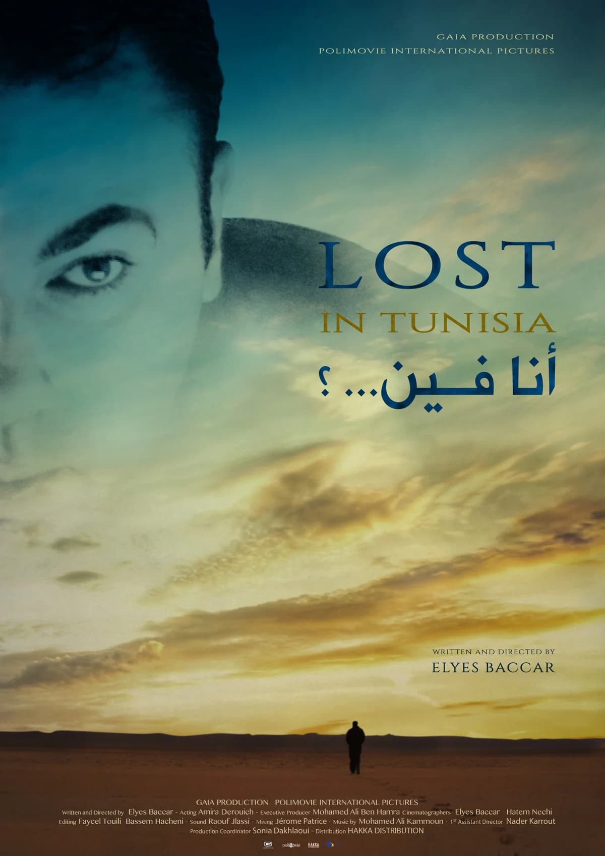 Affiche de Lost in Tunisia
